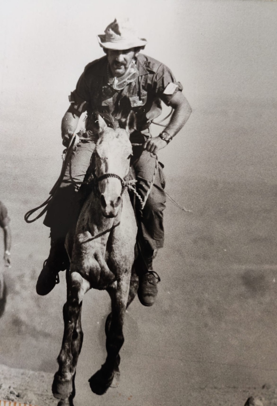 Alex auf einem syrischen Pferd auf den Golanhöhen, 1973